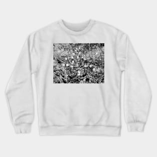 Monochromatic Bokeh Crewneck Sweatshirt